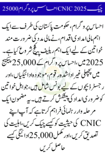 Complete Guide to Ehsaas Program 25000 CNIC Check 2025: Eligibility and Payment Process