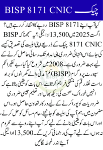 Complete Steps for BISP 8171 CNIC Check