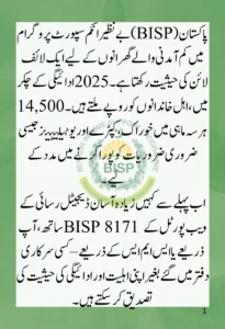 How to Use BISP 8171 Web Portal Check CNIC Online 2025 for Eligibility