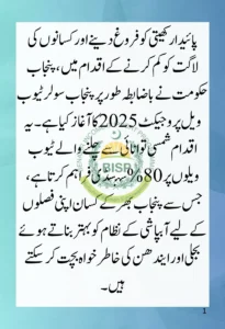 Punjab Solar Tubewell Project 2025: Empowering Farmers with Subsidized Solar Solutions