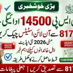 BISP 14500 Payment May 2026 Released – Check 8171 Online Status Instantly