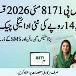 Punjab CM Maryam Nawaz Ka Bara Elan: 2026 Mein Workers Ko Free Ghar Milenge Maryam Nawaz