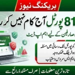 8171 Portal Not Working Today? Janiye Aaj BISP 8171 Web Portal Par Kya Masla Aa Gaya