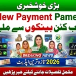 BISP New Payment Partner Banks List Jari? Ab Qist Kis Bank Se Milegi 2026