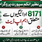 BISP 8171 August 2026 Payment Update: What to Know