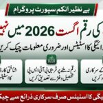 BISP 8171 Payment Not Received August 2026: What to Do